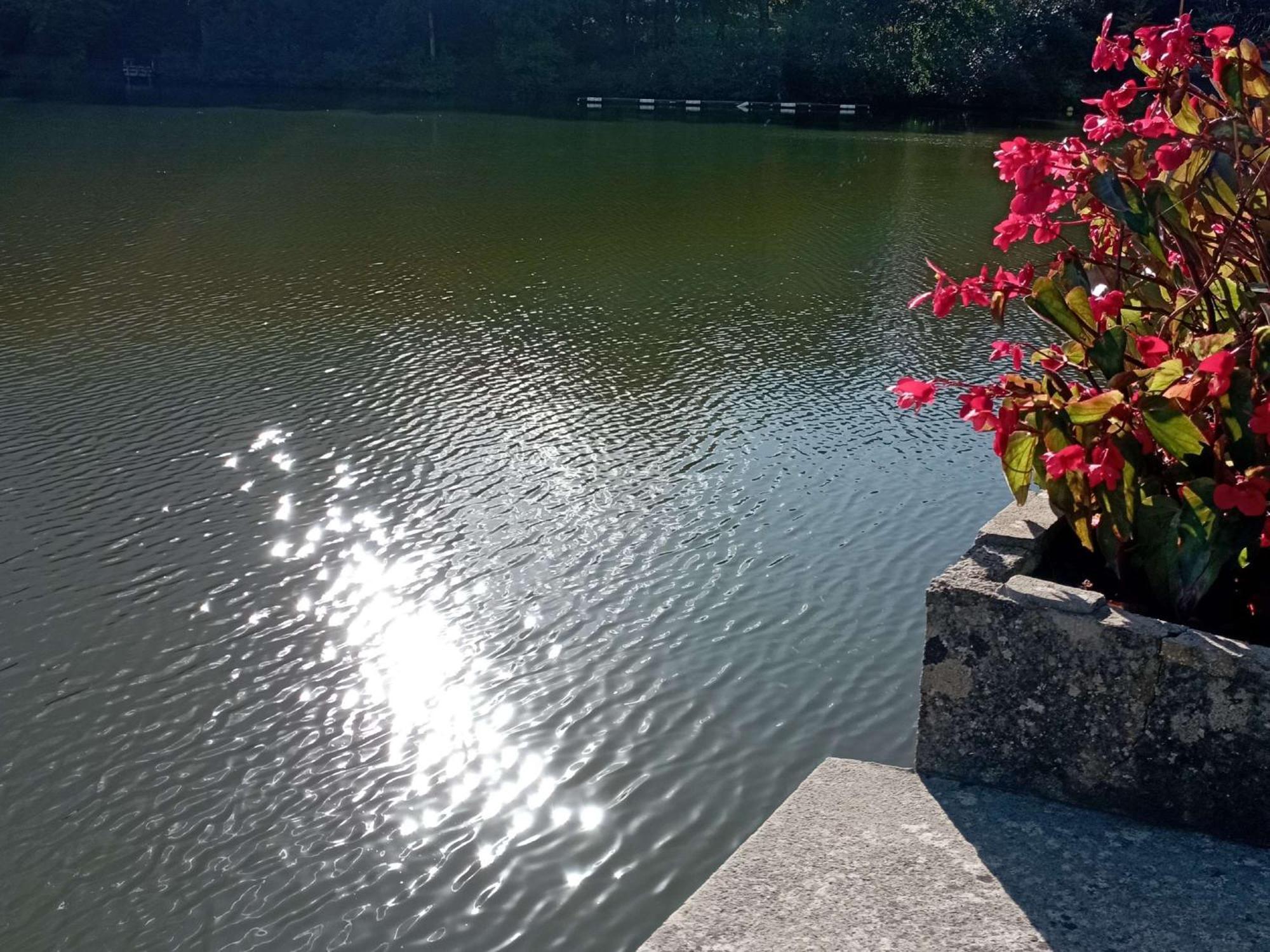 Ibis Les Etangs Des Moines 3* Fourmies